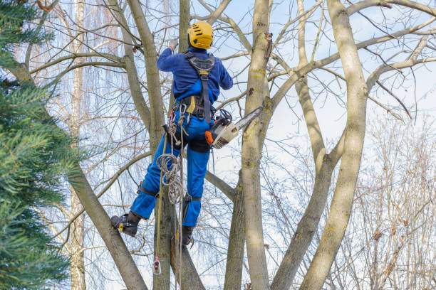 Best Weed Control  in West Menlo Park, CA