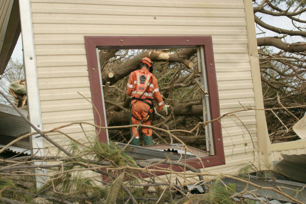 Best Storm Damage Tree Cleanup  in West Menlo Park, CA