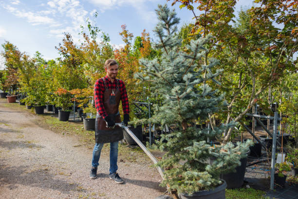 Best Weed Control  in West Menlo Park, CA